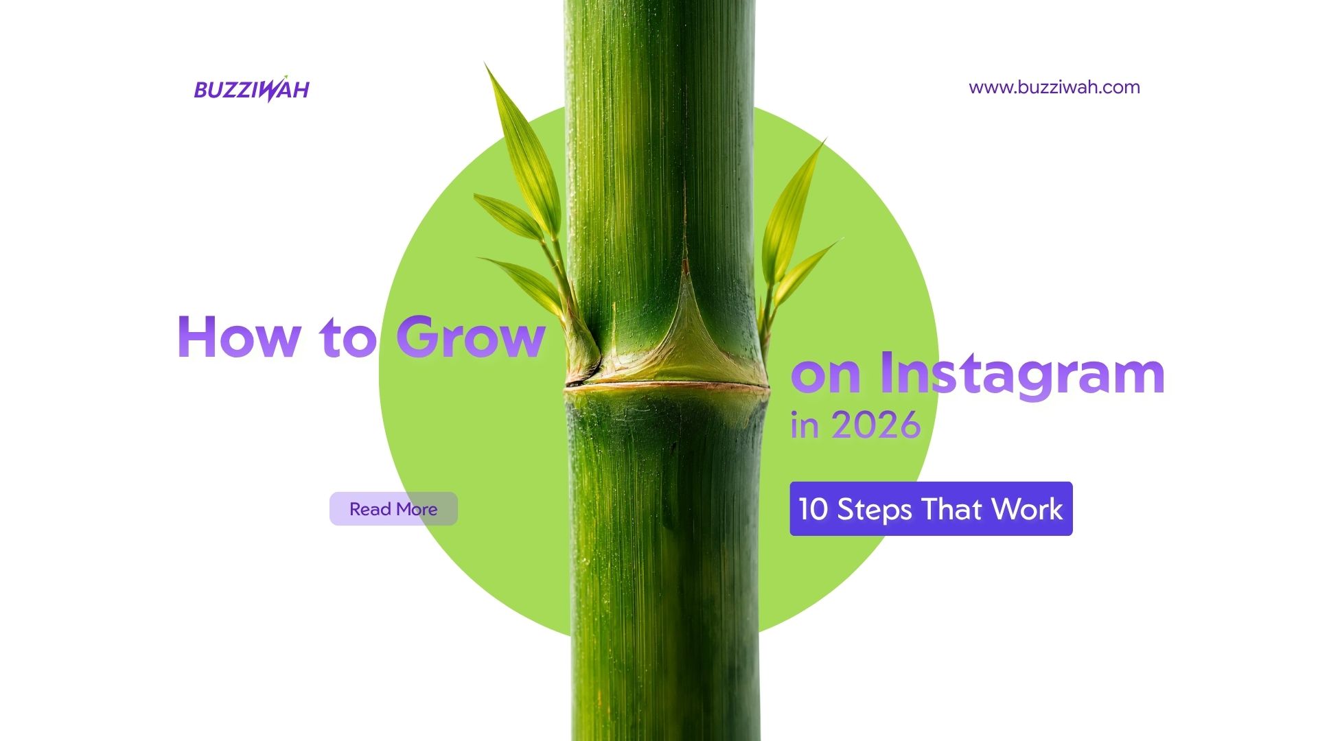 How to Grow on Instagram in 2026: 10 Steps That Work